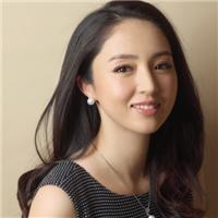 一位 WordPress 评论者